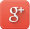 TSP GLOBAL